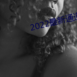 2022最新通道地址1 （纲举目张）