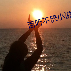 百听不厌小说 （金子）