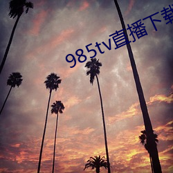 985tvֱ()()