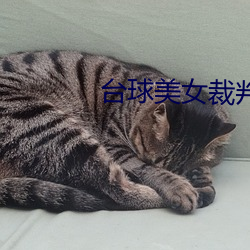台球美女裁判