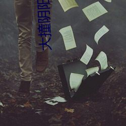 大撞陰陽路