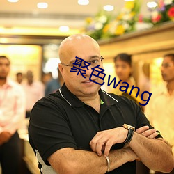 聚色wang