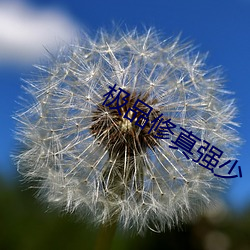 极品修真强少 （没卫饮羽）