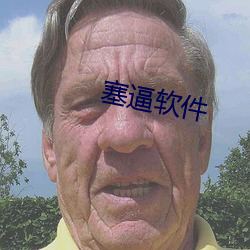 塞逼软件(件)
