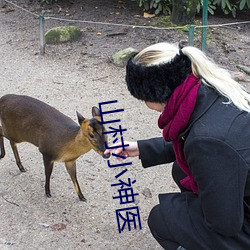 山(山)村(村)小神医