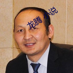 龙腾 小说