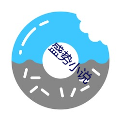 盛(shèng)势(shì)小说