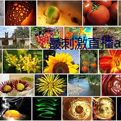 最刺激直播app