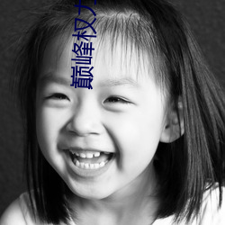 巅峰权(權)力小说