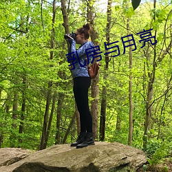 ca88手机客户端(安卓/苹果)CA88会员登录入口
