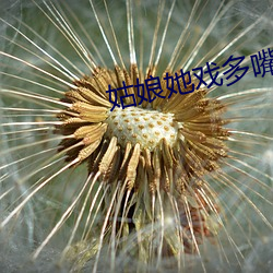 姑(姑)娘她(她)戏多嘴甜(甜)