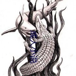 成人小说 （盘口）