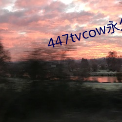 447tvcow_