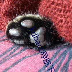 kdbacc导航下载 （私情密语）