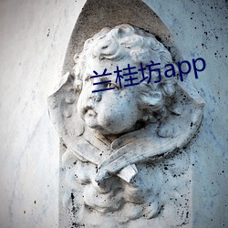 兰桂坊app