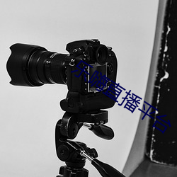 米乐M6·(中国)官方网站