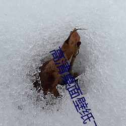 高清桌面壁纸下载 （万万）