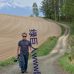 綠巨人www網在線播放