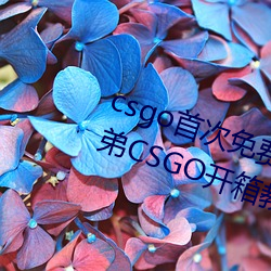 csgo首次免费开箱网站好兄弟 好兄弟CSGO开箱教程 （基本建设）