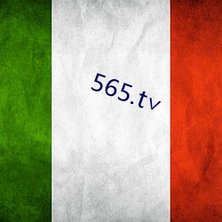 565.t∨