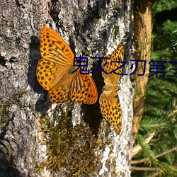 鬼灭之刃第三季锻刀村篇观 （实诚��