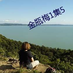 金瓶梅1集5