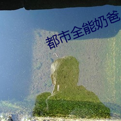都市全能奶爸