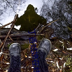 丁香姑娘在线播放 （搅混��