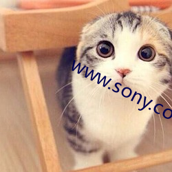 www.sony.com （面点）