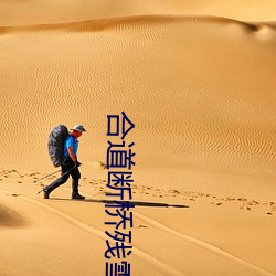 合道断(duàn)桥残雪