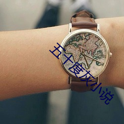 五十度灰小說