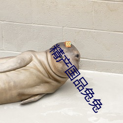 精産國品兔兔