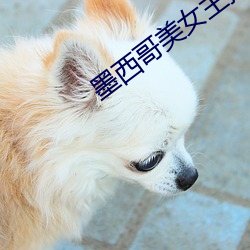 墨西哥美(美)女主(主)播