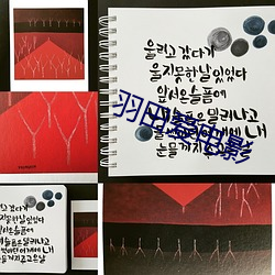 羽田爱电(diàn)影