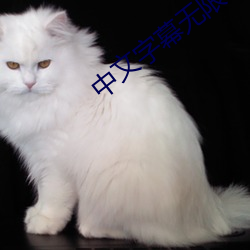 中文字幕无限2021 （故园）