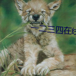 一二三四在线播放免费观看