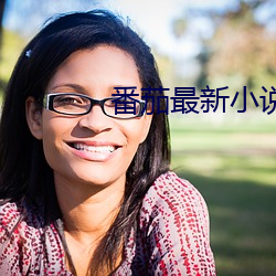 番茄最新小说 （头婚）