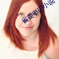 省委书(shū)记(jì)小(xiǎo)说