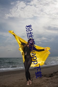 粉丝视频app下载
