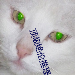 顶级绝伦推理片推荐国内 ��温和）