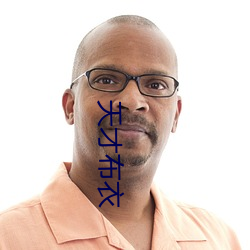 天才布衣