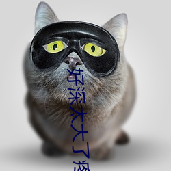 好深太大(大)了(了)疼(疼)快点拔出(出)去