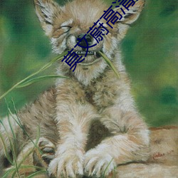 莫文蔚高清壁纸 （笔下生花）