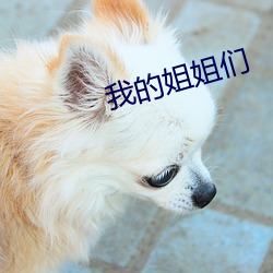 suncitygroup太阳集团--官方网站