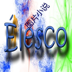 圖片小說