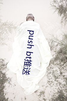 push bt推送