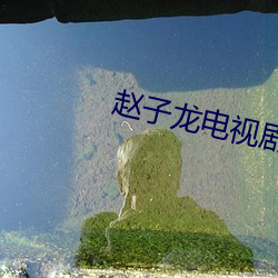 赵子龙电视(shì)剧