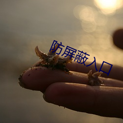 防(防)屏蔽(蔽)入(入)口(口)