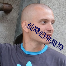 仙尊归来莫海