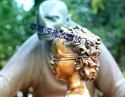 草(草)莓(莓)深(深)夜放(放)毒放飞